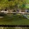 a large green park with a large tree