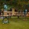 a park with benches and trees